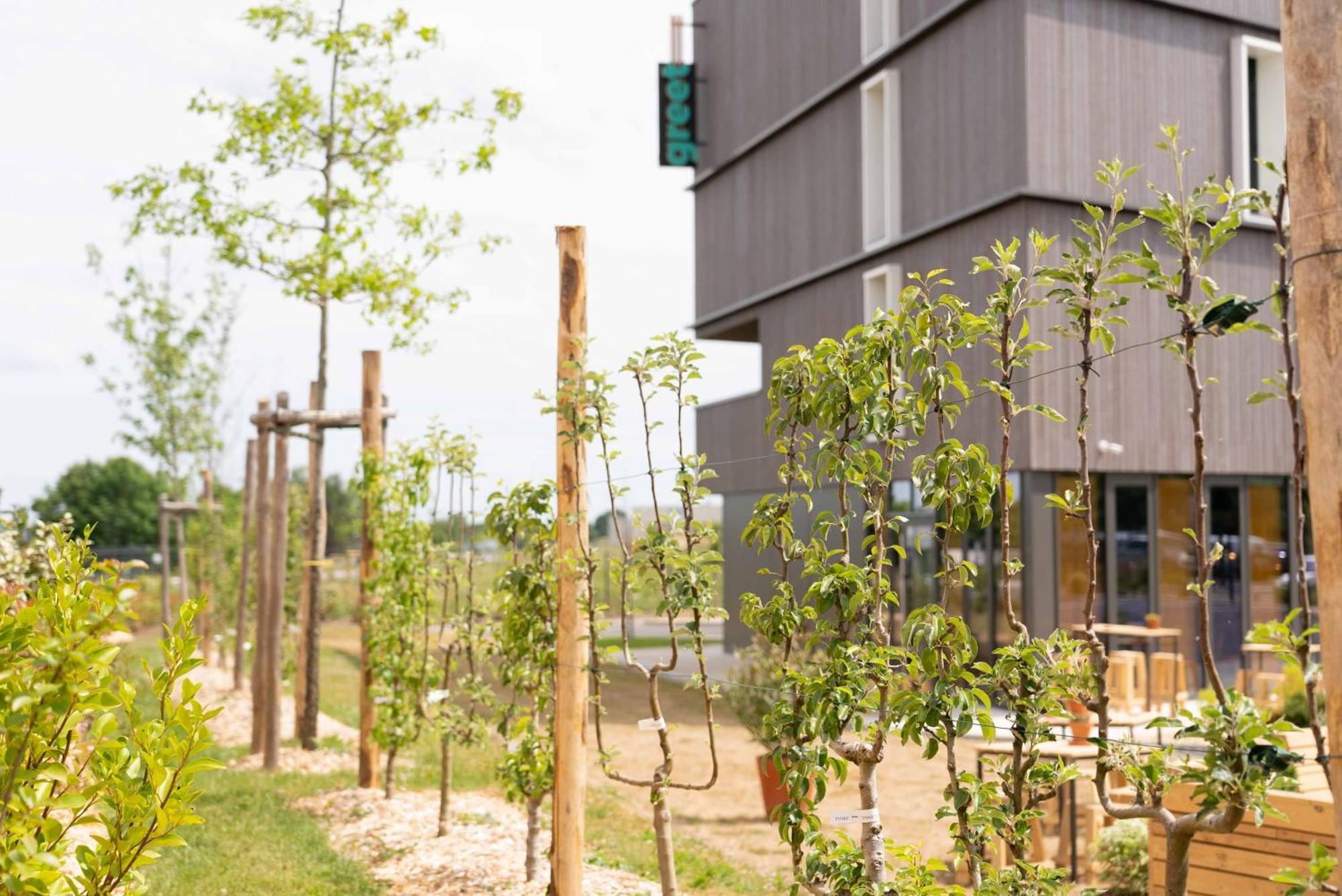 Greet Hotel Rennes Pace Exterior foto